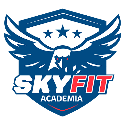 Logo Skyfit
