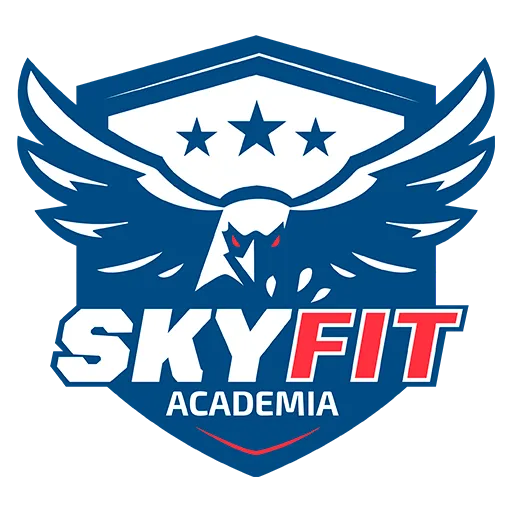 Logo Skyfit